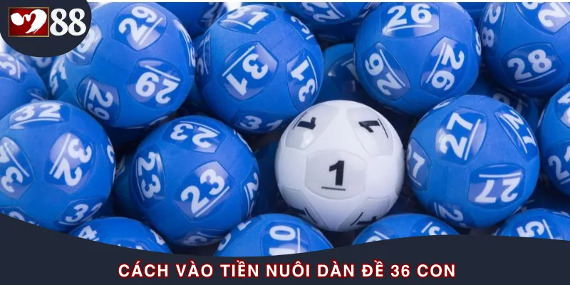 Cách Vào Tiền Nuôi Dàn Đề 36 Con Chỉ Có Lời Chứ Không Lỗ