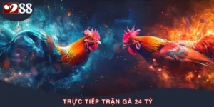 Sức Nóng Từ Trực Tiếp Trận Gà 24 Tỷ - Sự Kiện Có Thật
